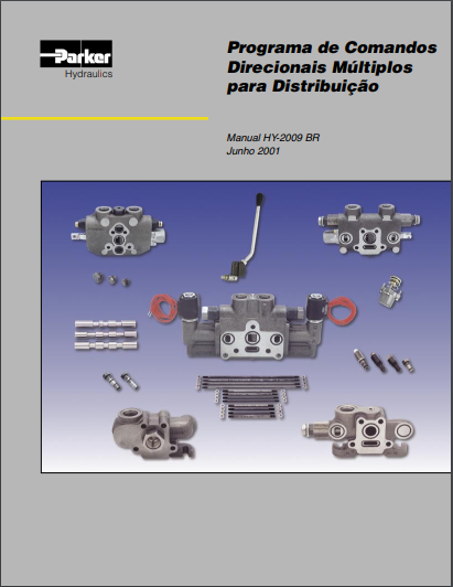 Programa de Comandos Direcionais Múltiplos para Distribuição (HY-2009 BR)