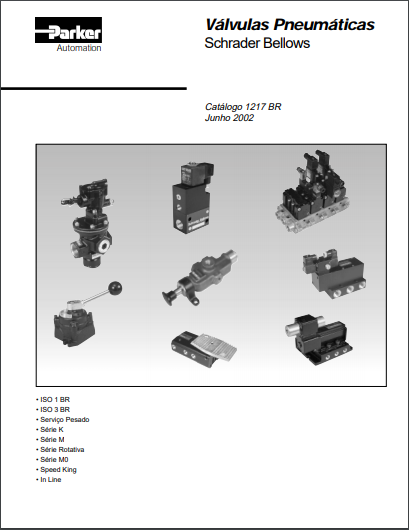 Válvulas Pneumáticas Schrader Bellows (1217 BR)